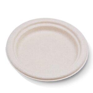 10" Sugarcane Plate Round Unbleached 500pc/ctn
