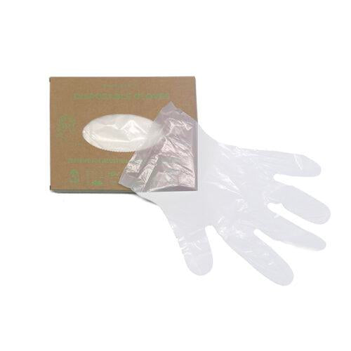 Large Disposable Glove