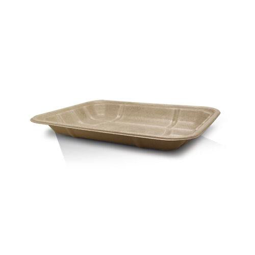 4D Sugarcane Tray Produce 250pc/ctn