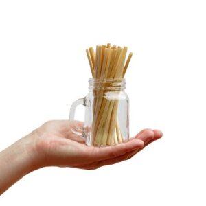 Cocktail Wheat Straw 120mm 2500pc/ctn